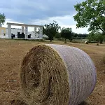 Casa Loredana