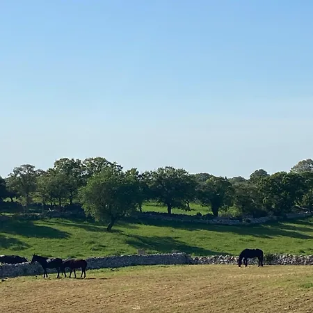 Casa Loredana Vakantiehuis *