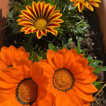 Vakantiehuis Casa Loredana