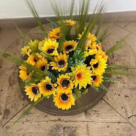 Casa Loredana Vakantiehuis