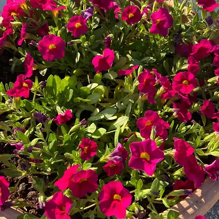 Casa Loredana Сasa de vacaciones *