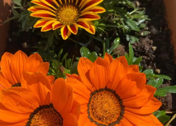 Ferienhaus Casa Loredana