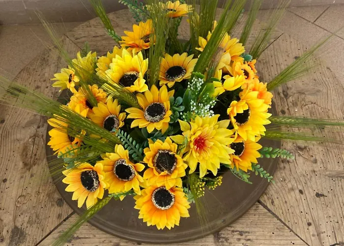 Casa Loredana Holiday home